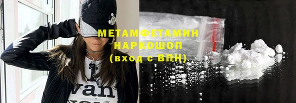 прущие грибы Балабаново