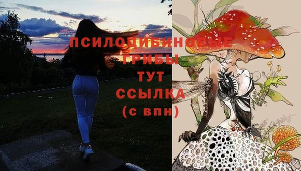 соль ск Беломорск