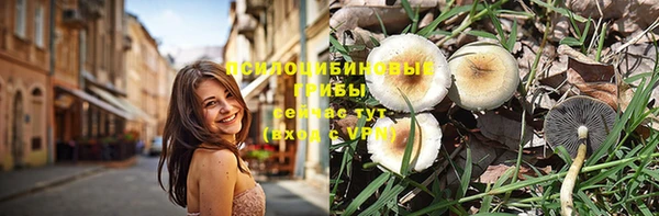 прущие грибы Балабаново