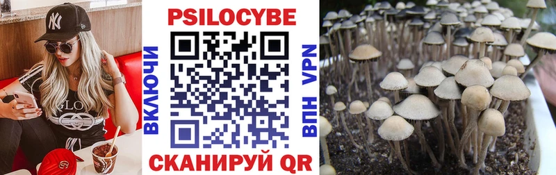 Галлюциногенные грибы ЛСД Ершов