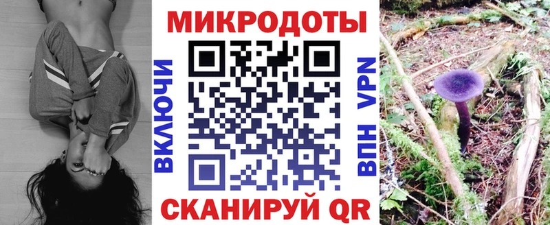 Галлюциногенные грибы MAGIC MUSHROOMS продажа наркотиков Ершов